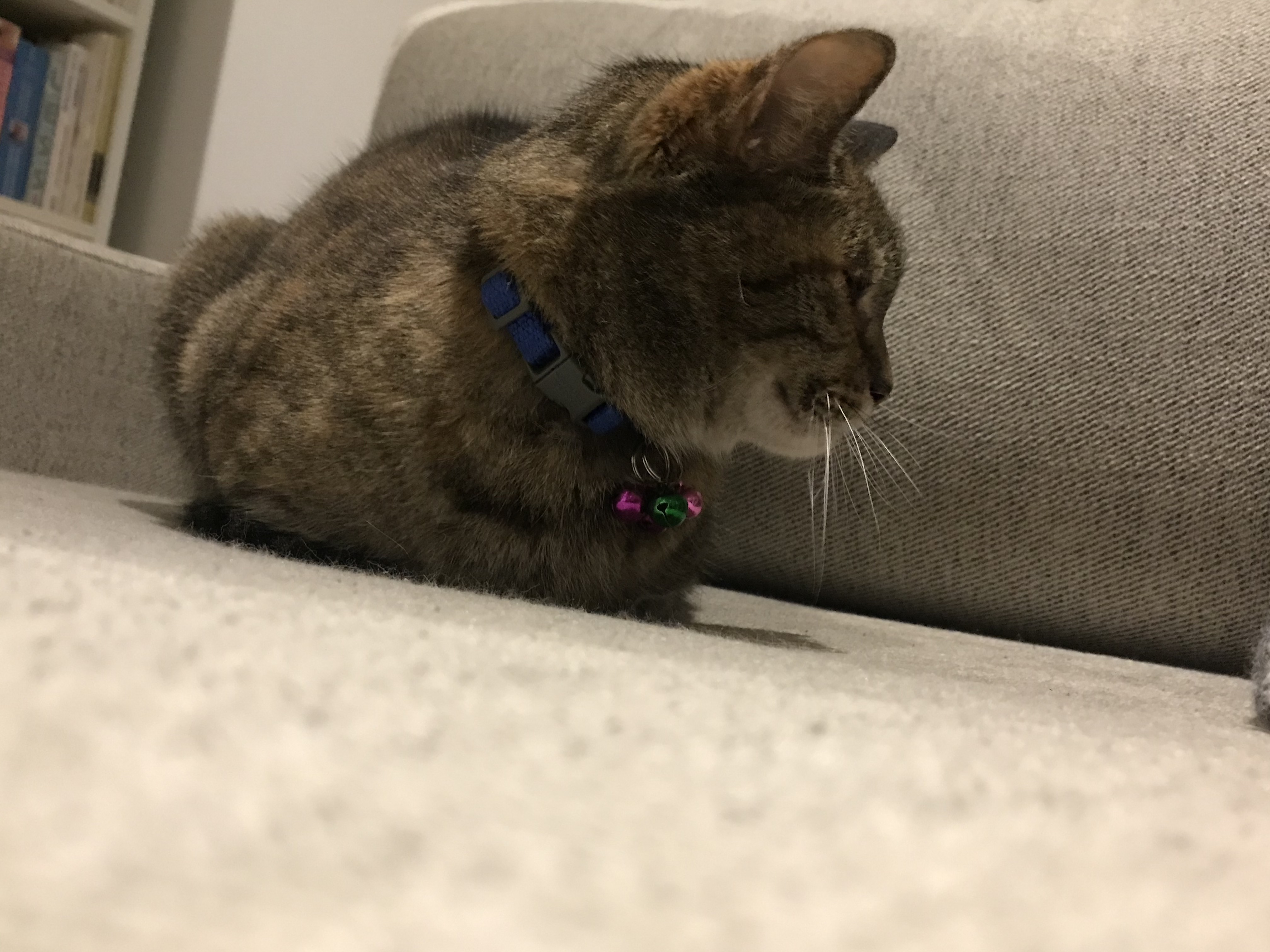 QluVV5%qQPSicW+LKHJl3g