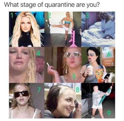 Britney quarantine
